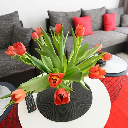 Time For 3 Trasa Wz Apartment